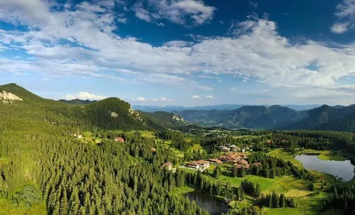 N.joy 532 By Oak * Smolyan